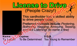 fake id novelty sample 13